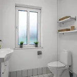 Ferienhaus With Hot Tub And Space For 7 People Thyholm